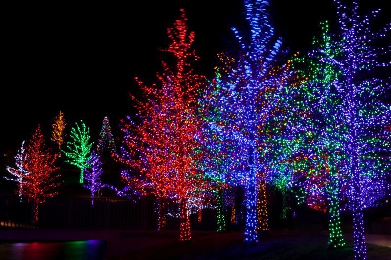 Festive Light Displays